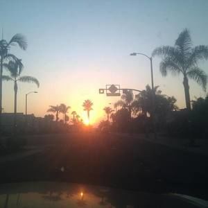 Meet your Posher, Sherry